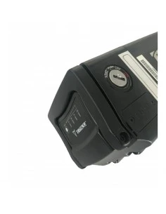 Regenerierung von Trikke eV...