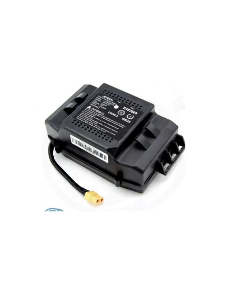 Rigenerazione della batteria Jetech JT-BC200 36V