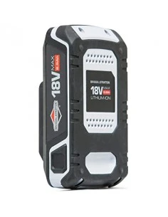 Régénération Briggs &...