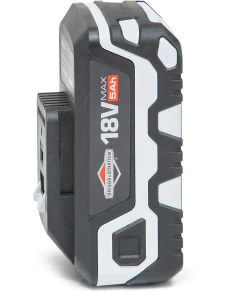 Regeneratie Briggs & Stratton Murray 18V 883253