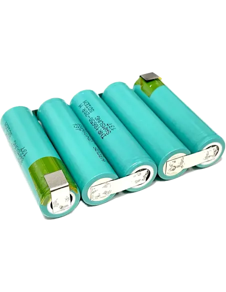 FloraBest FAH18A FRT 18 V 2,0 Ah Samsung 20R Pack Batterie