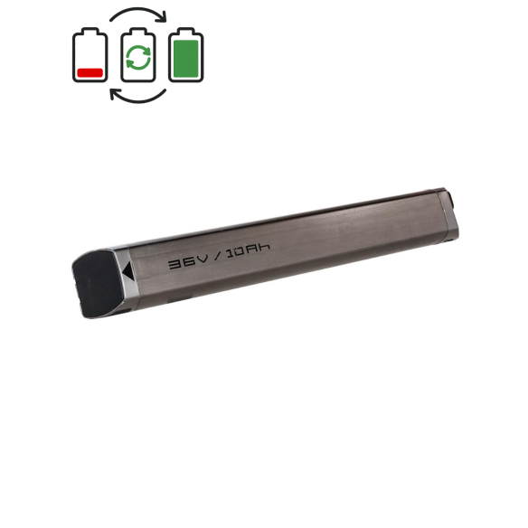 Regenerácia batérie TranzX BL11 36V