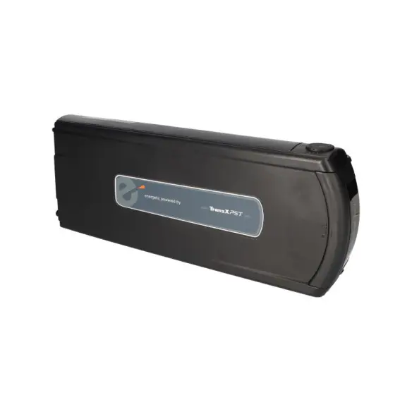 Rigenerazione batteria TranzX BL07 36V