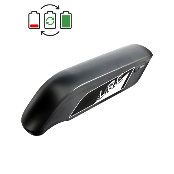 Rigenerazione batteria TranzX BL19 36V