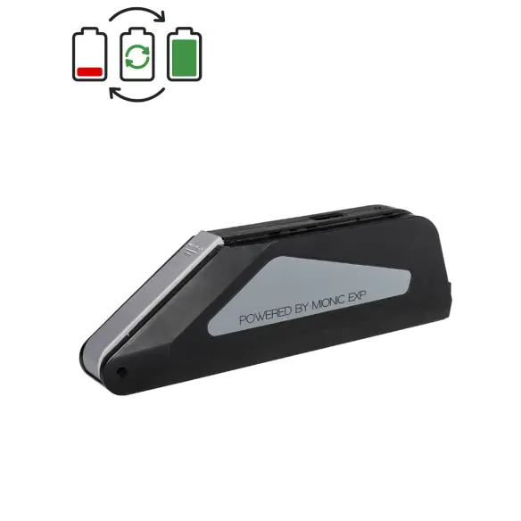 Rigenerazione batteria TranzX BL09 36V