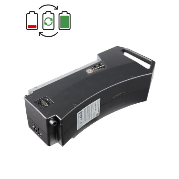 Derby Cycle 36V Battery Regeneration