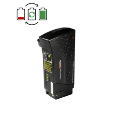 Giant Twist 36V Accu...