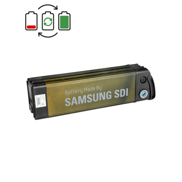 Regeneratie Samsung SDI-2510B 24V