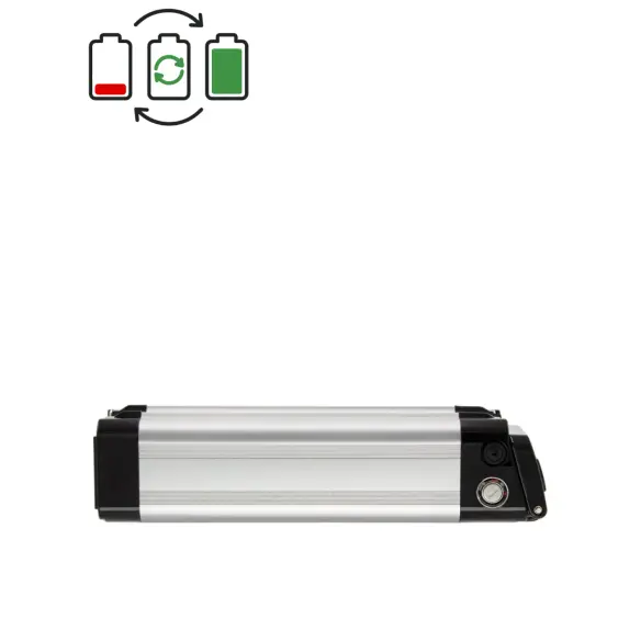 Trio Maratron ZL0710 Kreidler 24V battery regeneration