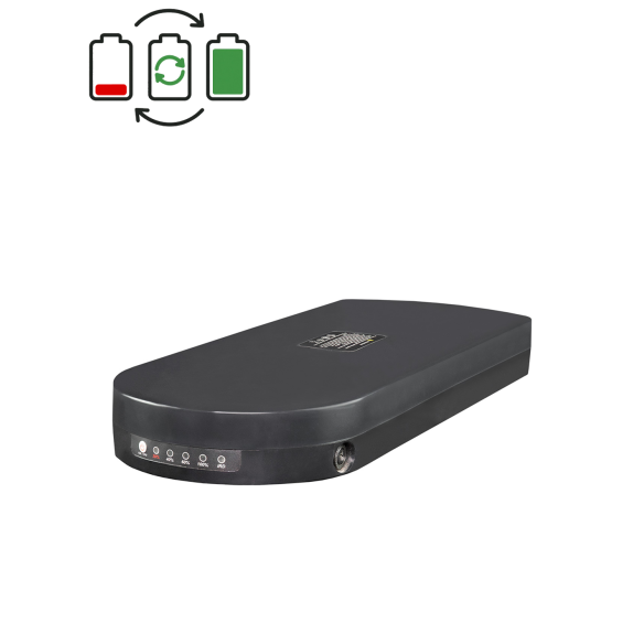 Régénération batterie Tianneng 24V