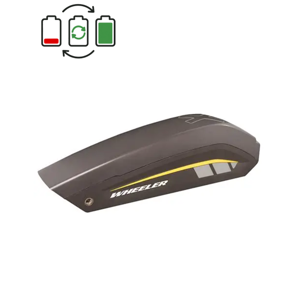 Rigenerazione batteria BionX 48V