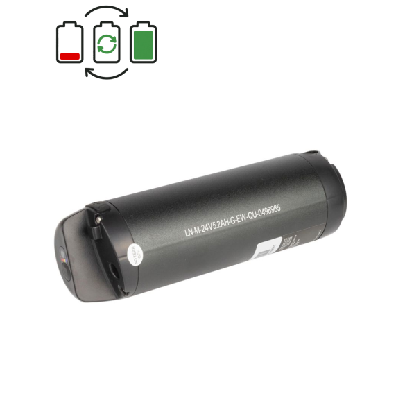 Rigenerazione batteria Sushi 24V