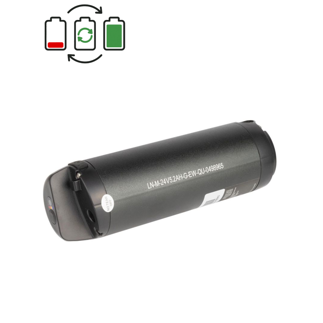 Rigenerazione batteria Sushi 24V