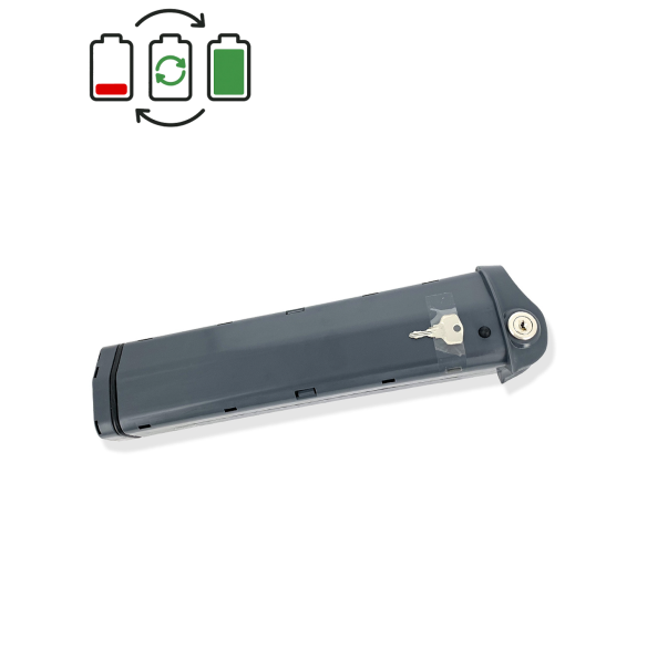 Regeneratie BMZ 36V accu