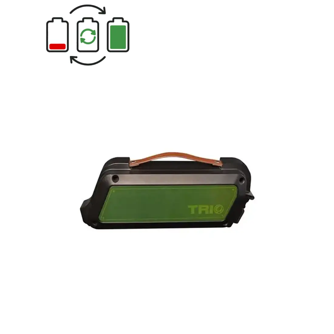 Regenerácia batérie Prophete Trio 36V