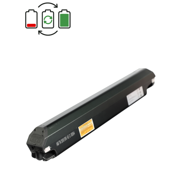 Regenerácia batérie NCM 36V