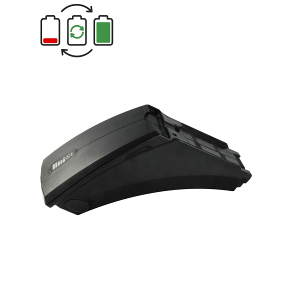 Akku-Regeneration Panterra ED3 36V