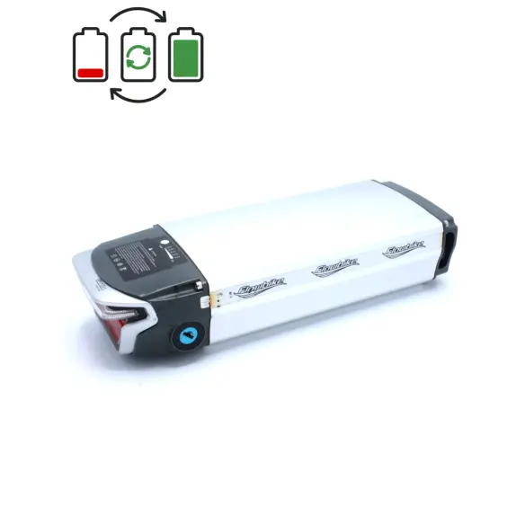 Rigenerazione batteria Matrabike Brasa 36V