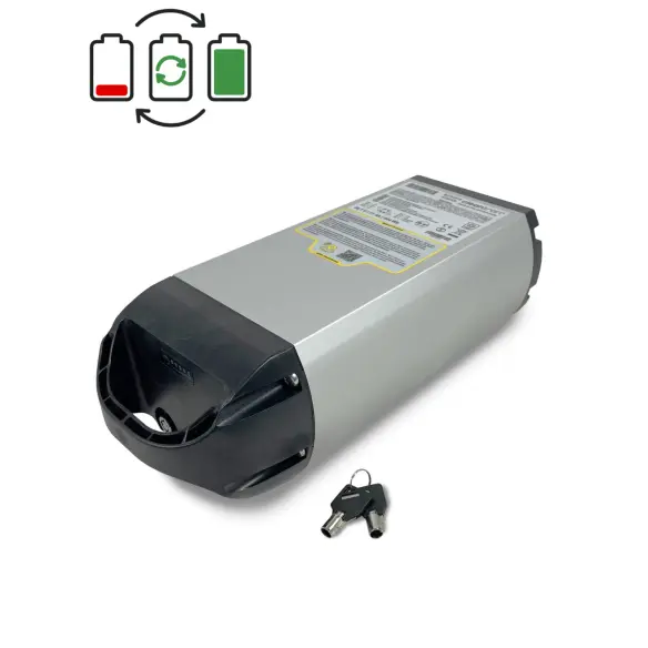 Regeneracja baterii Cleantron van Raam 36V