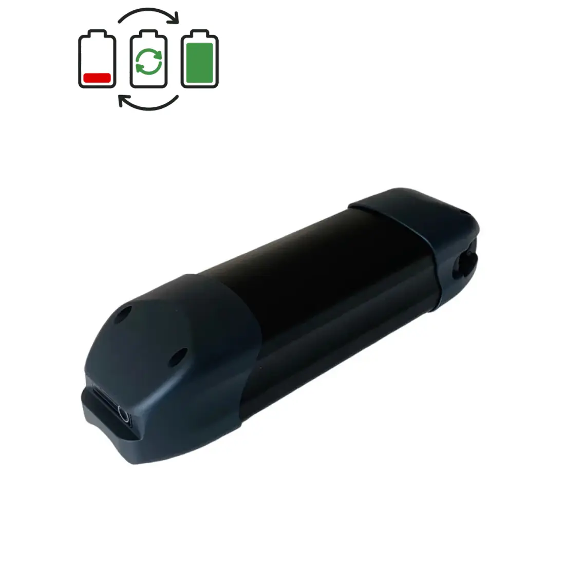 Rigenerazione batteria BMZ 36V