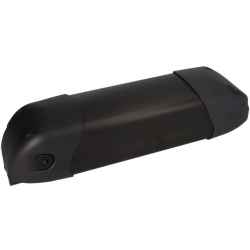 Regenerácia batérie BMZ 36V