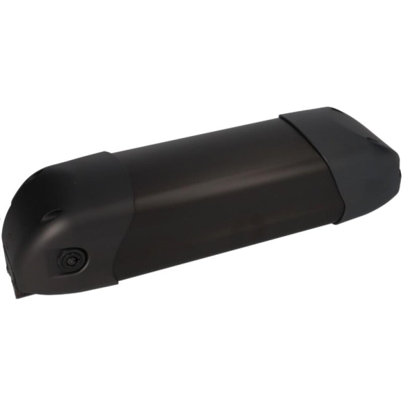 Regenerácia batérie BMZ 36V