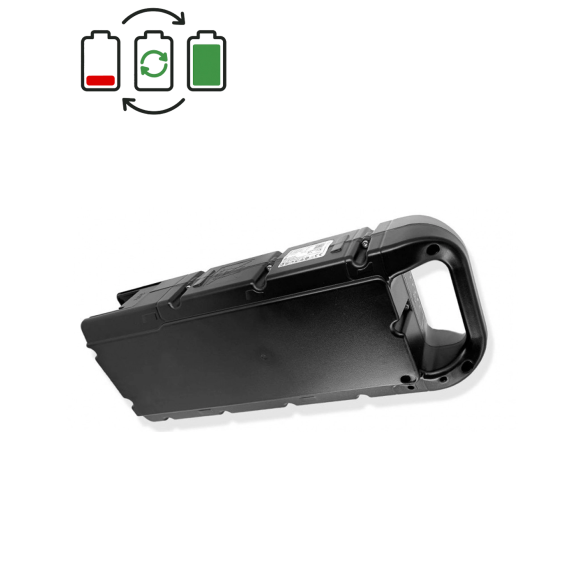 Regenerácia batérie BMZ Cargo 36V