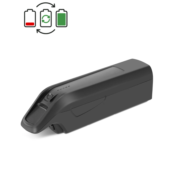 Regeneracja baterii Prophete ZZ131 36V