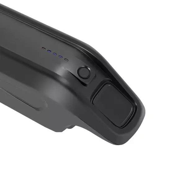 Rigenerazione batteria Prophete ZZ131 36V