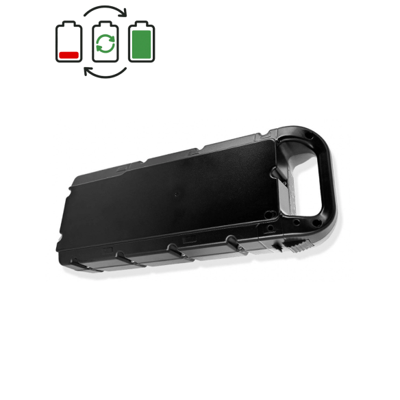 Heinzmann 36,2V Battery Regeneration