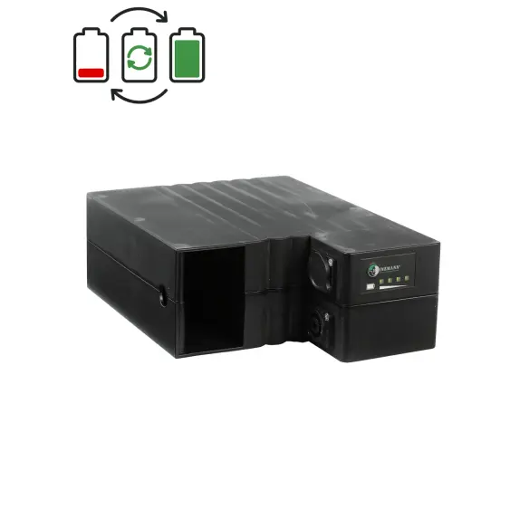 Rigenerazione batteria Heinzmann 36V