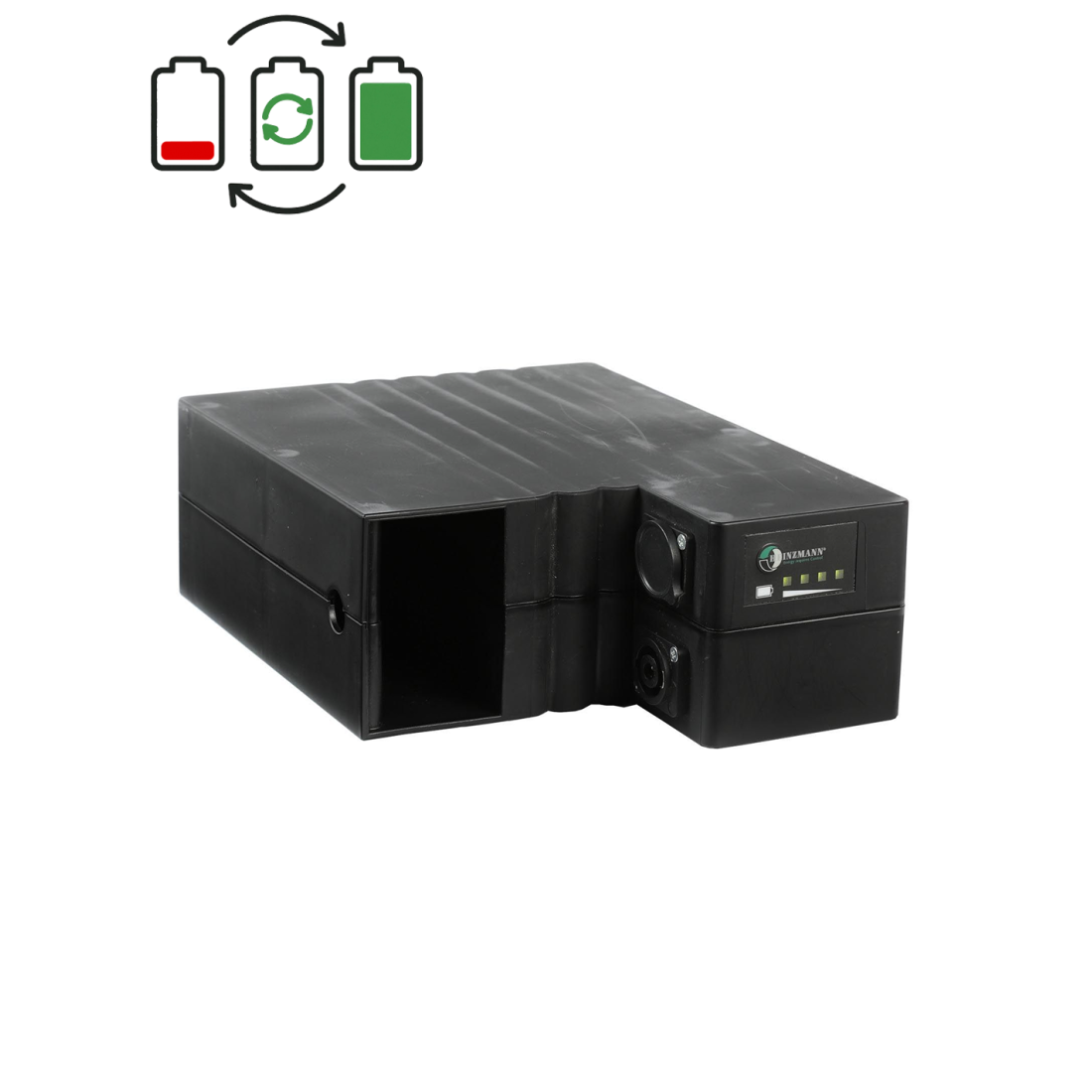 Rigenerazione batteria Heinzmann 36V