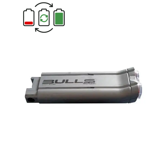 Rigenerazione batteria Bulls 36V