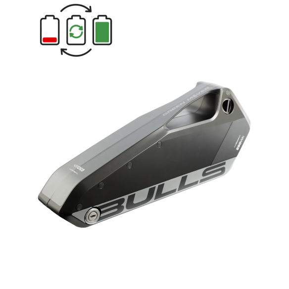 Bulls 36V Battery Regeneration