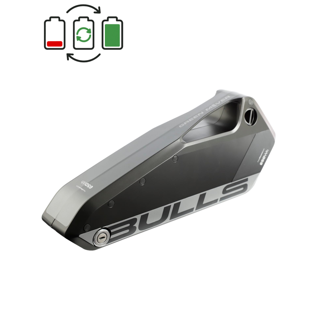 Bulls 36V Battery Regeneration