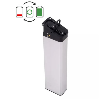 Regenerace baterie Mate 14,5Ah 48V