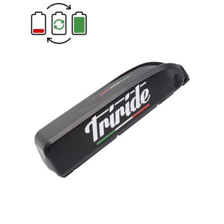 Regeneración de batería Triride BS-R 36V