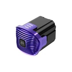 Rigenerazione della...