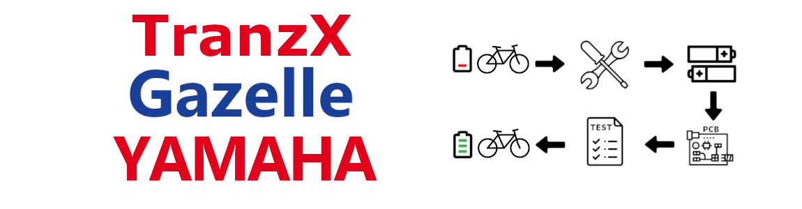 Rigenerazione della batteria del Biciclette