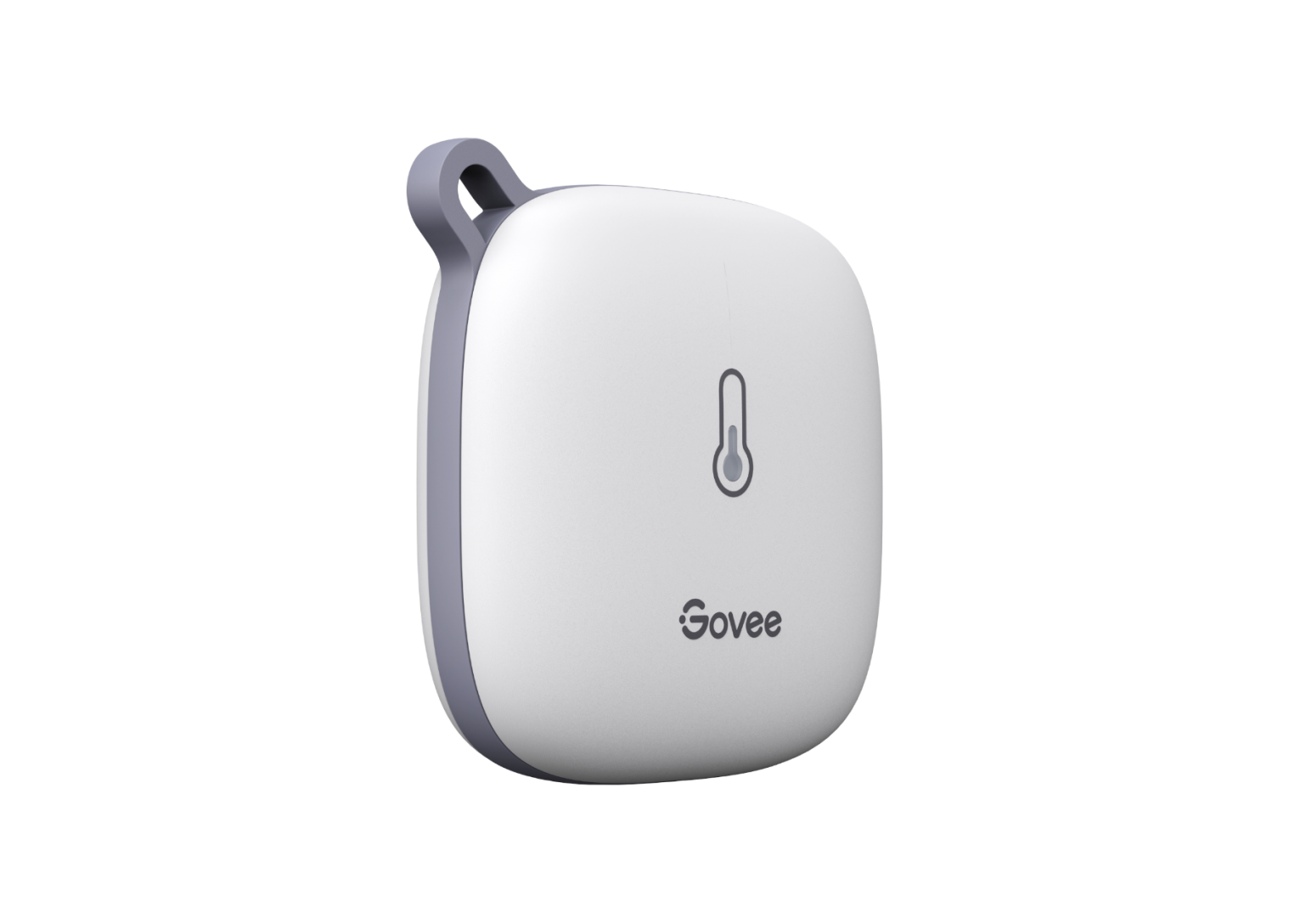 Igrometro termometro WiFi Govee, sensore di Switzerland