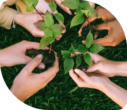 planting-trees